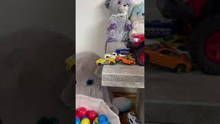 Satisfying Crash Video #kind #baby #crash #funny #shorts