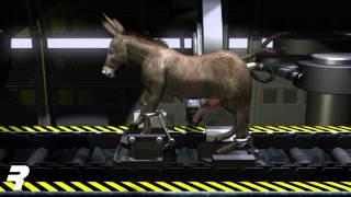 RNG DonkeyFactoryTF3D 720p