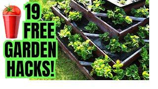 19 Genius Vegetable Garden Hacks You Can't Live Without!