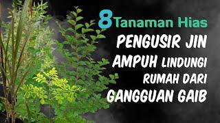 8 Tanaman Hias Pengusir Jin Yang Ampuh Lindungi Rumah Dari Gangguan Gaib