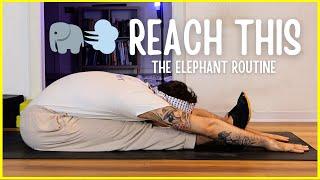 Hamstrings and Posterior Chain Follow-Along: Elephant Stretching Routine