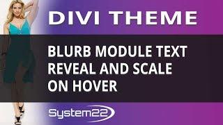 Divi Theme Blurb Module Text Reveal And Scale On Hover