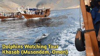 Amazing Dolphin Watching Tour, Khasab (Musandam, Oman)