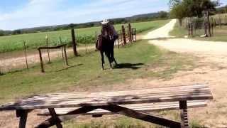 Horse Breaking Fail | Cowboy Gets BUCKED!