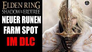 NEUER RUNE FARM SPOT IN SHADOW OF THE ERDTREE 🪙| ELDEN RING|