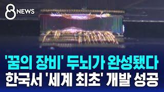 전 세계 모든 암호 푸는 '양자컴퓨터'…한국 연구진 일냈다 / SBS 8뉴스