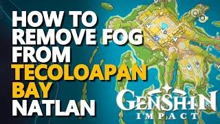 How to remove fog from Natlan Tecoloapan Bay Genshin Impact