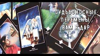 Ангел Хранитель хочет вам сказать в Сочельник ️ что по Судьбе Важного  Таро знаки Судьбы #tarot