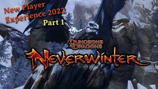 Neverwinter | New Player Experience in 2022 Part 1 | Let's Play