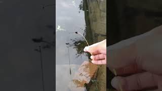 World’s SMALLEST fishing rod