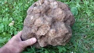  BIG  INDIANA GEODE, MONROE COUNTY INDIANA  