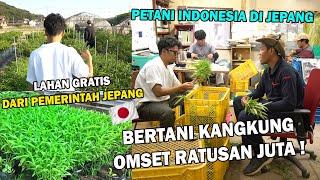 BERTANI KANGKUNG DI JEPANG ! OMSET RATUSAN JUTA ! LAHAN GRATIS DARI NEGARA JEPANG !