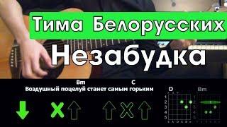 Тима Белорусских - Незабудка \ Разбор песни на гитаре \ Аккорды и бой