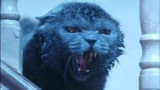 Garras Asesinas (Killer Cats) - Trailer español