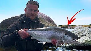 Mike Alstrøm Wobler - Til HAVØRREDFISKERI ved Kysten