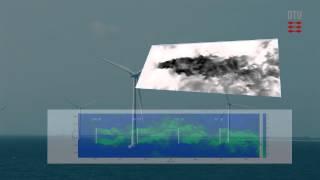 DTU Wind Energy - Wakes | Educational videos