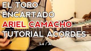 Toro Encartado - Ariel Camacho - Tutorial - ACORDES - Como tocar en Guitarra