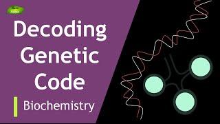 Decoding the Code-2 | Khorana's Exp | Start | Stop Codon | BIOCHEM | Part-3 | Protein synthesis |