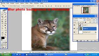 How to blur photo background in Photoshop