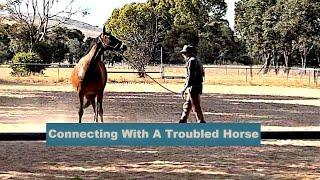 Building A Connection With A Troubled Horse