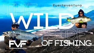 FVF® - Fuerteventura Fishing - THE WILD SIDE OF FISHING - Canary Islands - Catch and Release!