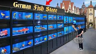 GERMANY EXOTIC FISH STORE TOUR!
