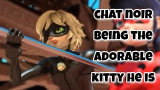 Chat Noir being the ADORABLE KITTY he is‍⬛