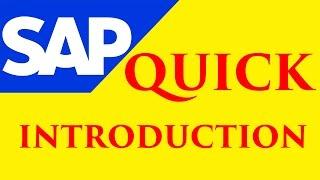 SAP Training Online Tutorial - Especially for SAP Beginners