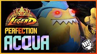 SF6  UNBELIEVABLE amount of PERFECT rounds by this Blanka! (ft. Acqua)