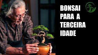 Bonsai na Terceira Idade