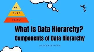 What is Data Hierarchy? Component of Data Hierarchy