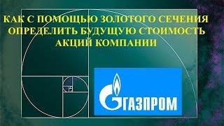 ГАЗПРОМ И ЗОЛОТОЕ СЕЧЕНИЕ