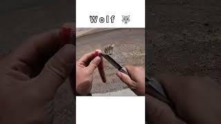 Bikers & Wolf    Info Trending Zone #youtube #viralvideo #shorts