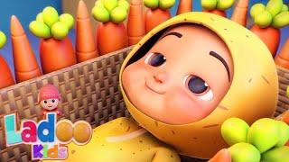 Aloo Mian Aloo Mian Kahan Gaye The | Ladoo Kids Rhymes | Aloo Kachaloo Bete Kahan Gaye The