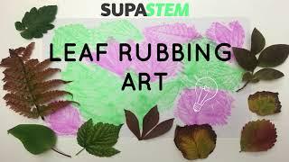 Leaf Rubbing Art | Simple Nature-Based Activity | The SUPA STEM Club