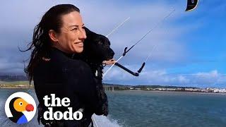 Dog Begs Mom To Take Her Kitesurfing | The Dodo