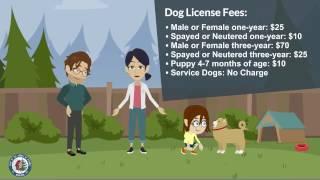 Why you really SHOULD get your dog licensed!