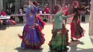 Egyptian Ghawazee style folk dancers