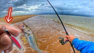  [AMAZING] Fishing for BASS on the BEACH with artificial baits