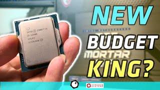 The New Budget KING? i5 12400 Review vs 5600X (MSI B660M Mortar WIFI)