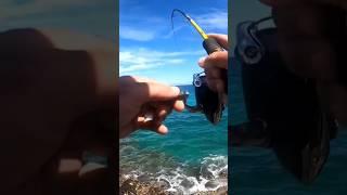 EPIC TROPICAL ULTRALIGHT FISHING INDONESIA  #shorts #fishing #rockfishing #indonesia