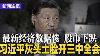 三中全会首日，习近平栽跟头：最新数据惨兮兮，股市下跌；北京全城戒备：街头警察密布，颁禁飞令；汪文斌与艳星彭丹同赴柬埔寨，引发争议｜#新闻连报（20240715）