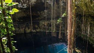 Top 8 Mexican Cenotes