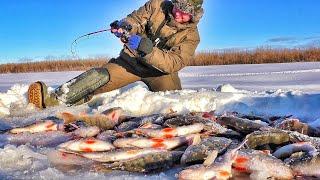 100кг С ОДНОЙ ЛУНКИ!!! ЭТО РЕАЛЬНО!!! Рыбалка, первый лед 2021-2022.