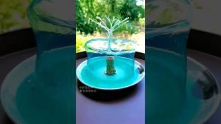 SATISFYING VIDEO #satisfyingvideo #water #buddha