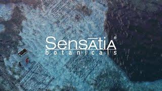 Sensatia Botanicals - Balishoot - Video Production