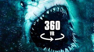 360° Video SHARK ATTACK!! - VR EXPERIENCE