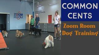 Common Cents - Zoom Room Dog Training