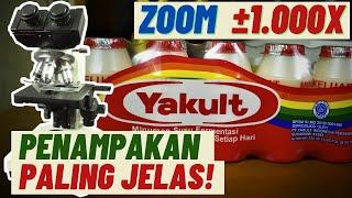 ZOOM 1000X YAKULT - EKSPERIMEN