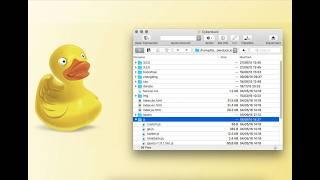 Install Cyberduck on Mac: GUI @ FTP, SFTP, WebDAV, S3, OpenStack, Backblaze, Azure, OneDrive, GDrive